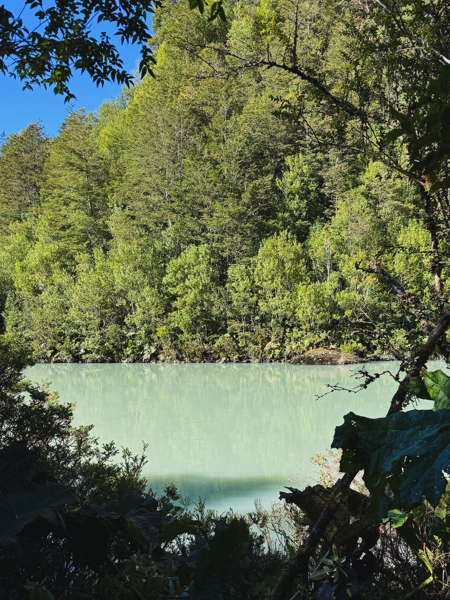 FULL DAY PARQUE NACIONAL QUEULAT