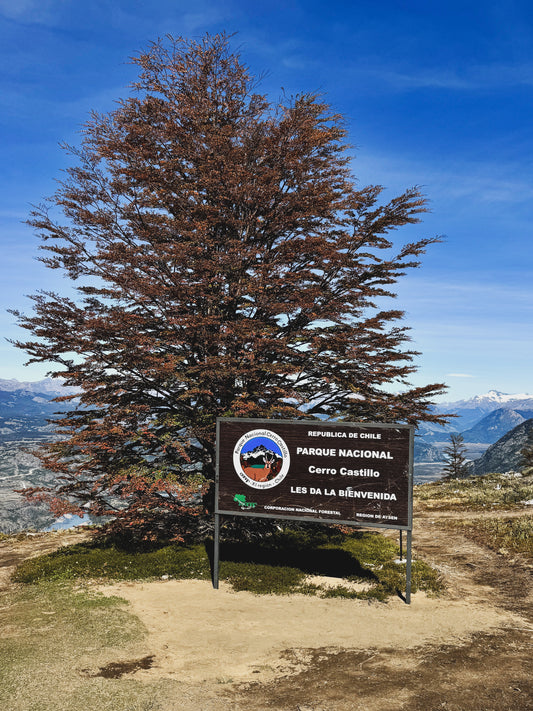 FULL DAY LAGUNA CERRO CASTILLO