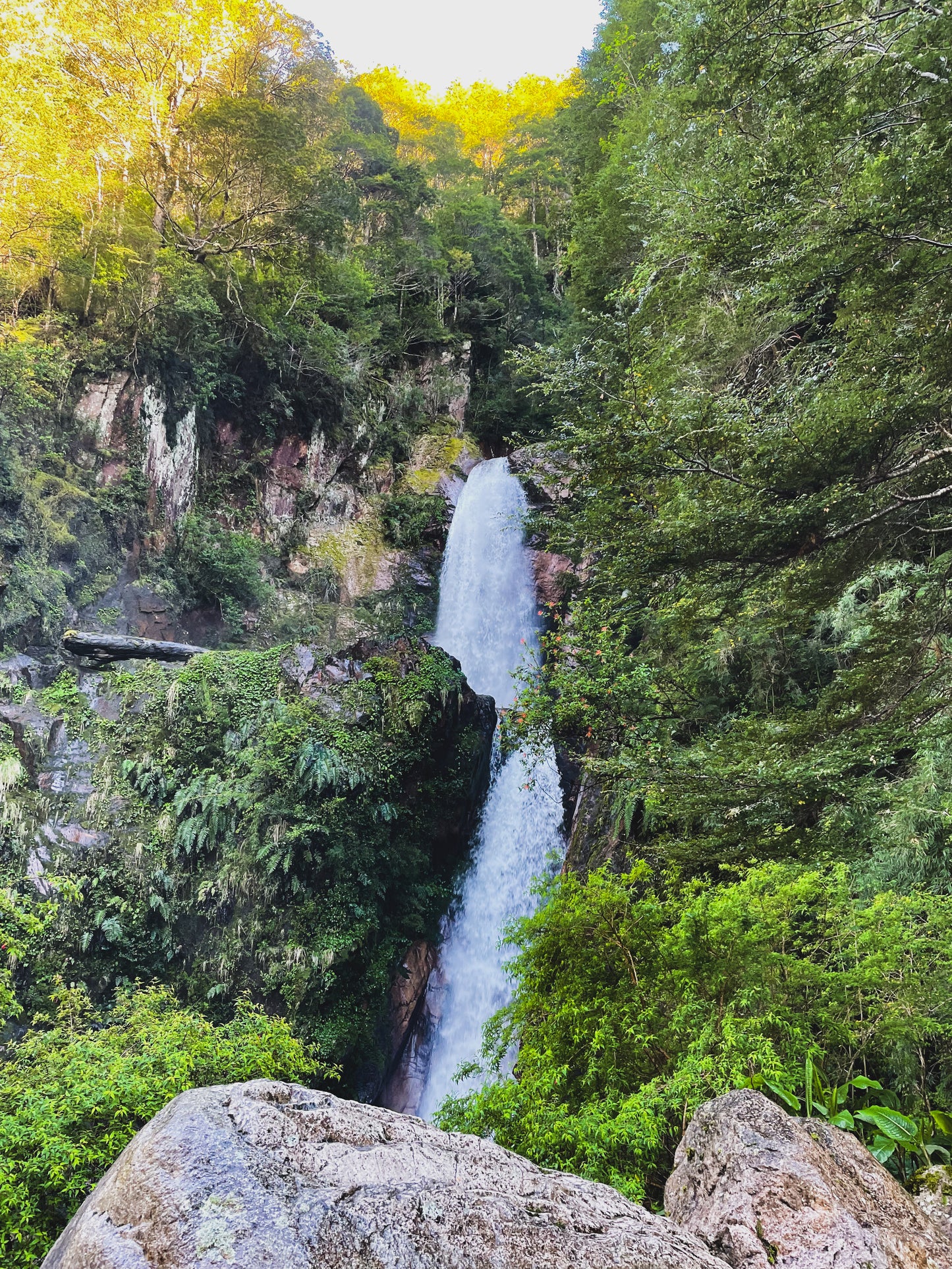 FULL DAY PARQUE NACIONAL QUEULAT
