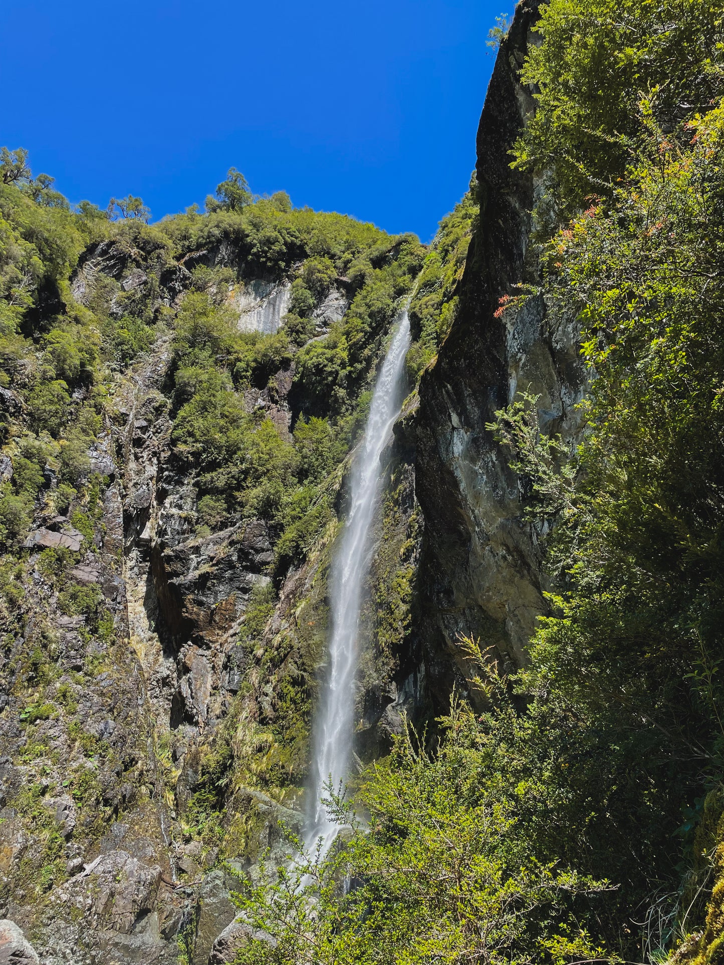 FULL DAY PARQUE NACIONAL QUEULAT