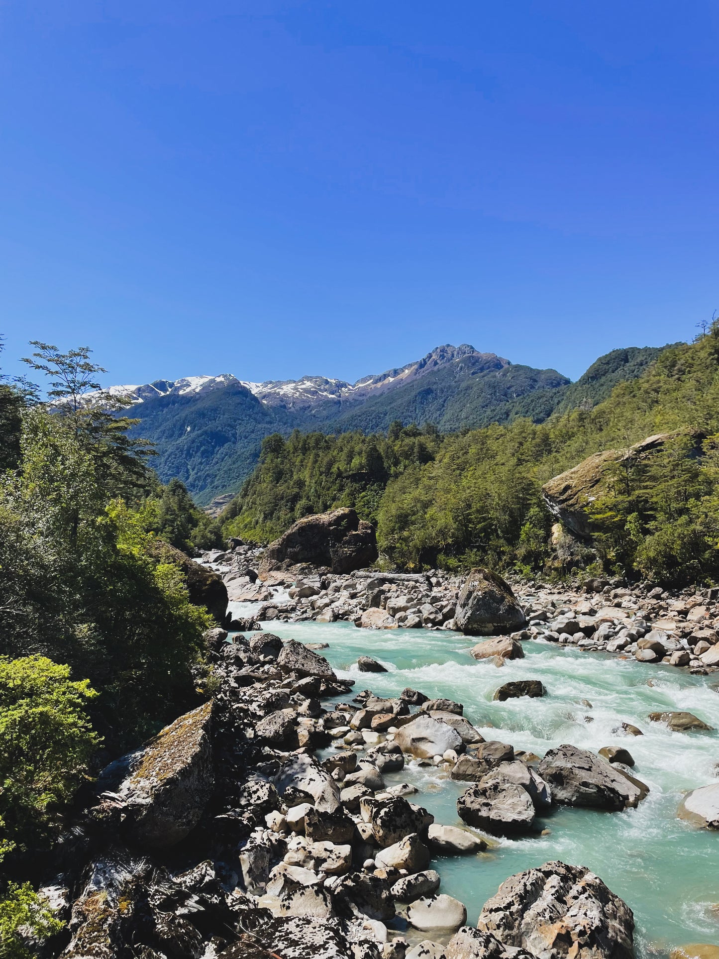 FULL DAY PARQUE NACIONAL QUEULAT