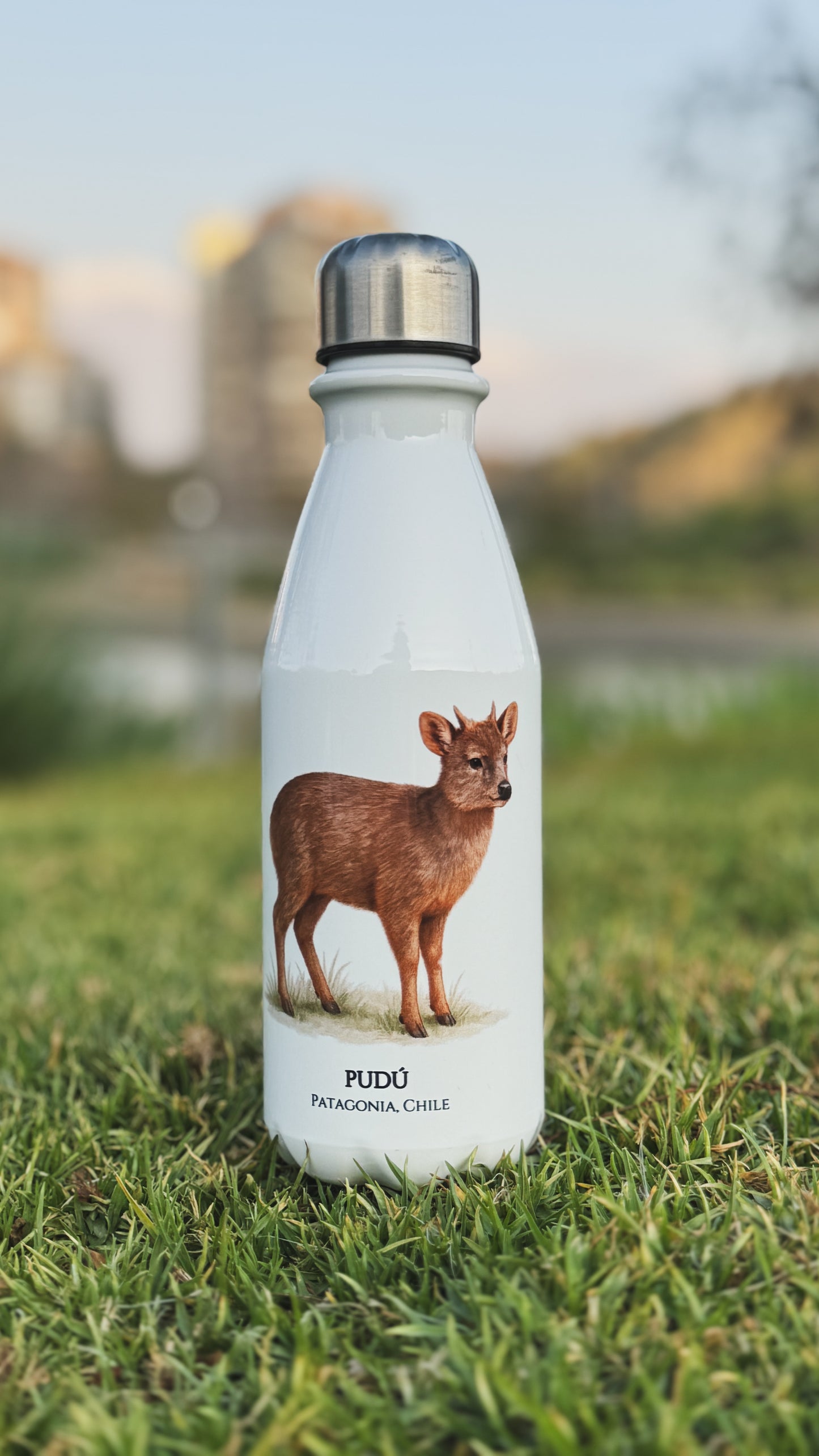 Botella Pudú I