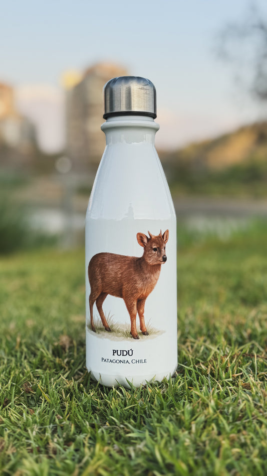 Botella Pudú I