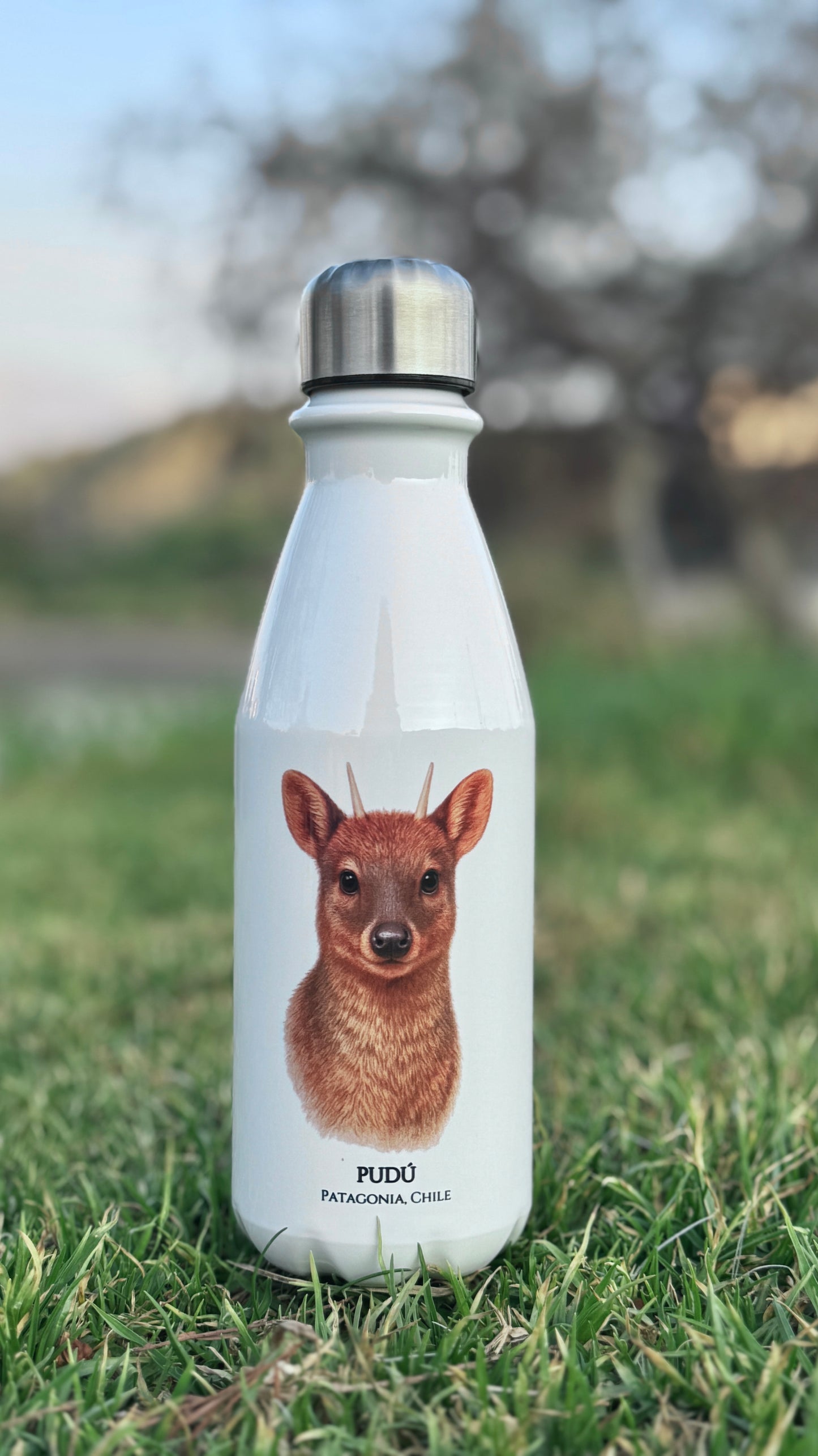 Botella Pudú II