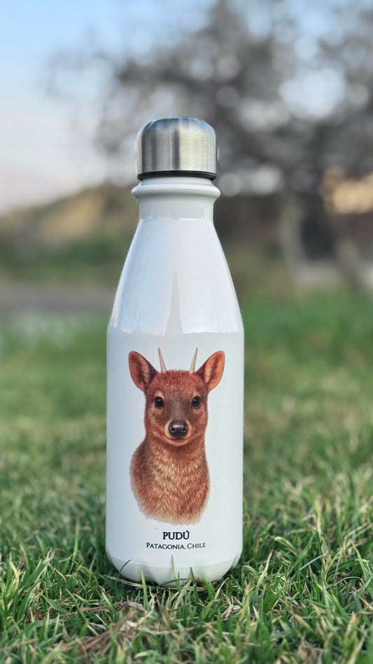 Botella Pudú II