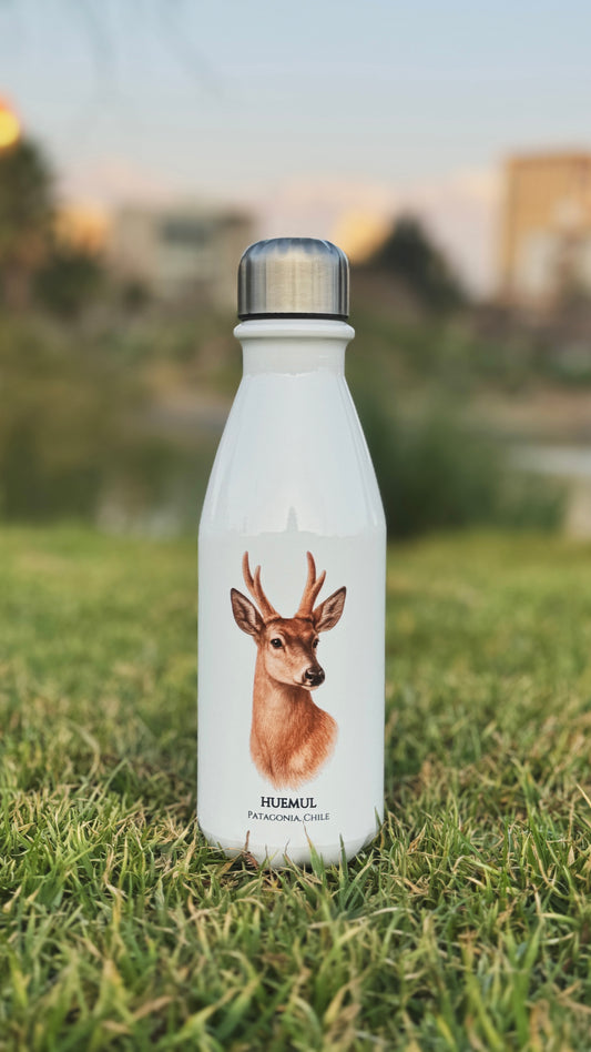 Botella Huemul II