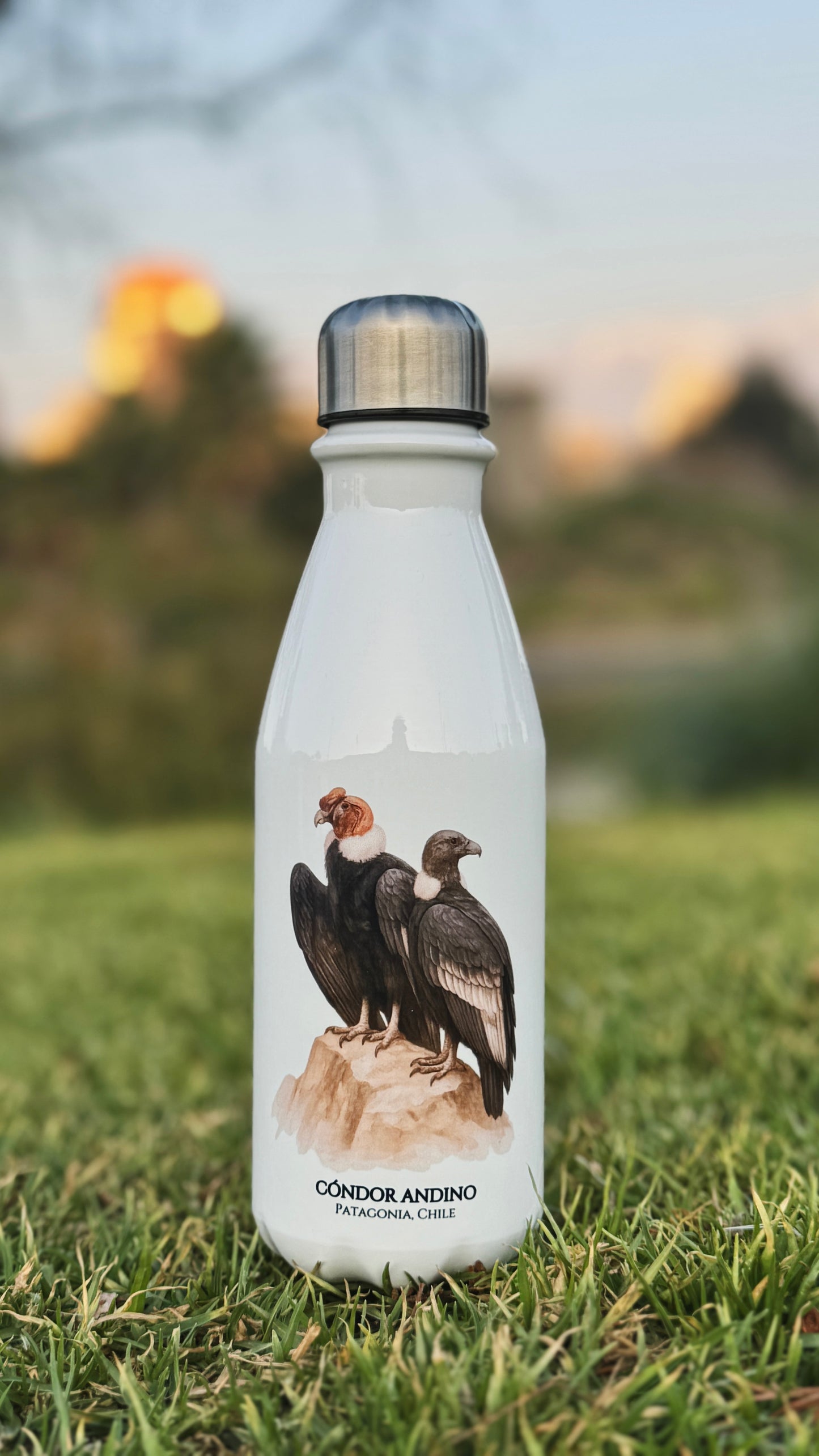 Botella Cóndor Andino