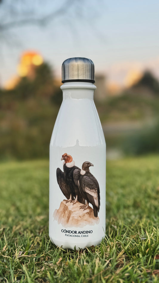 Botella Cóndor Andino
