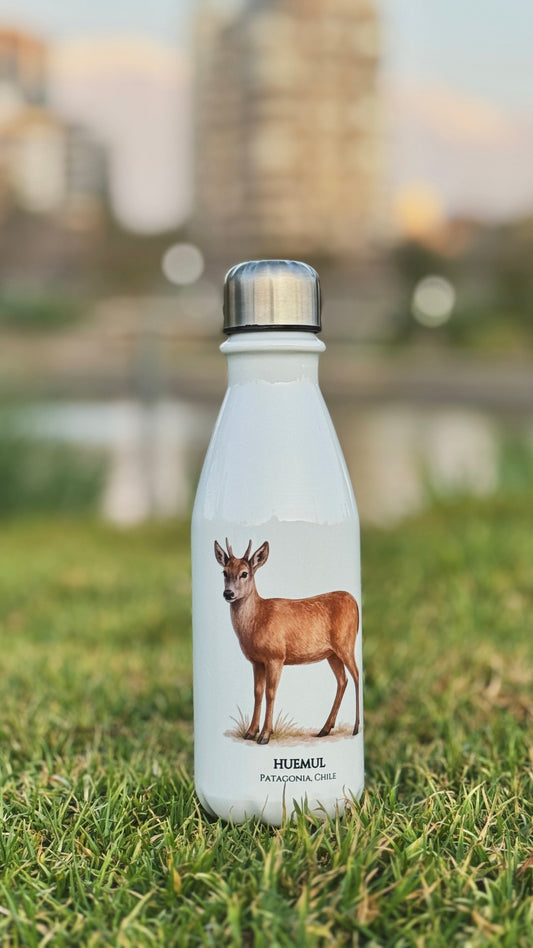 Botella Huemul I