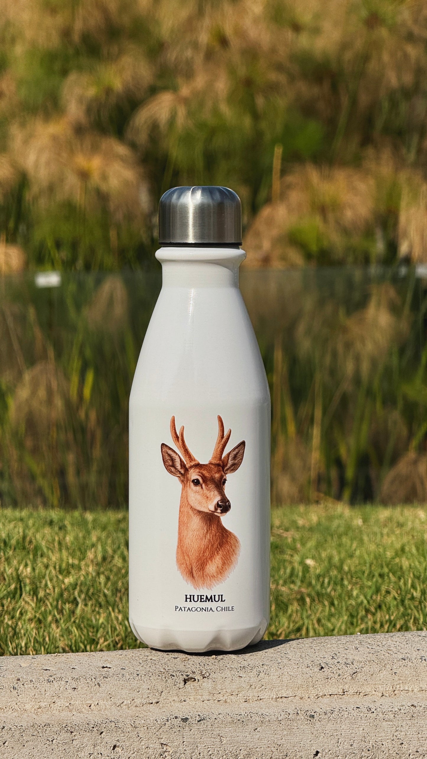 Botella Huemul II