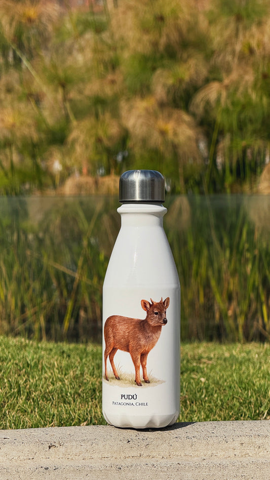 Botella Pudú I