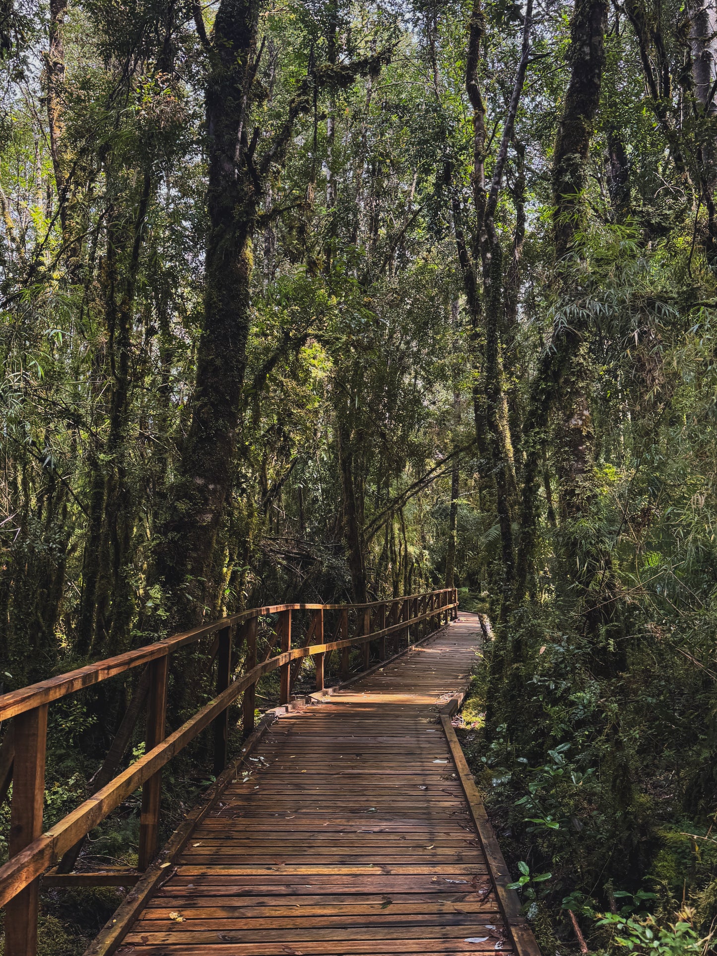 CARRETERA AUSTRAL NORTE (3 DÍAS/ 2 NOCHES)