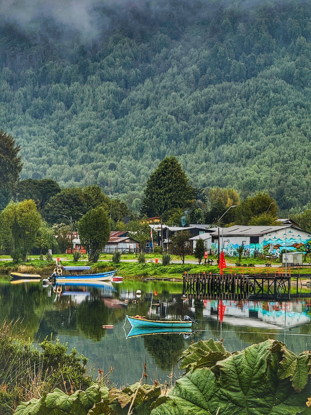 FULL DAY PARQUE NACIONAL QUEULAT