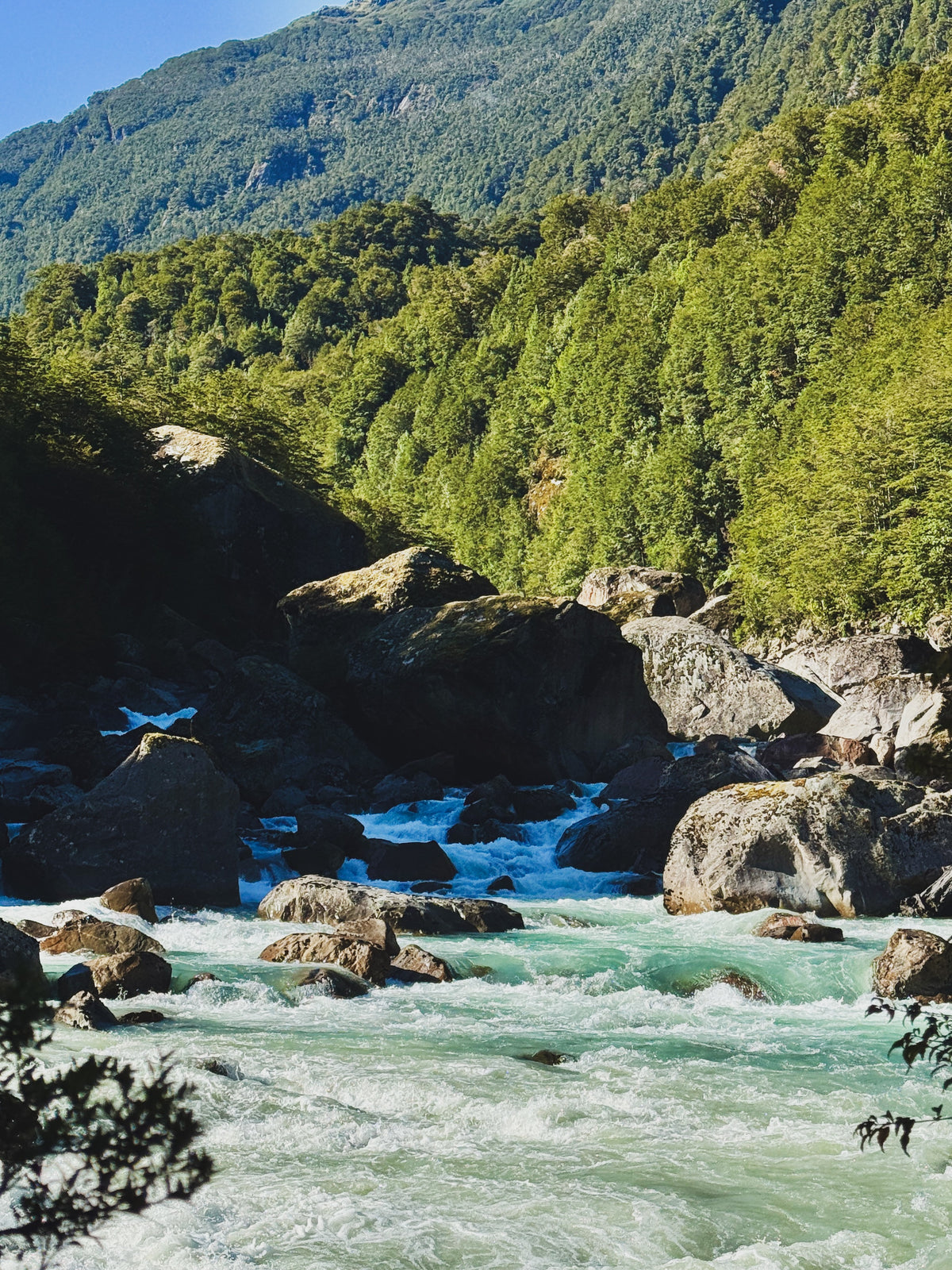 FULL DAY PARQUE NACIONAL QUEULAT