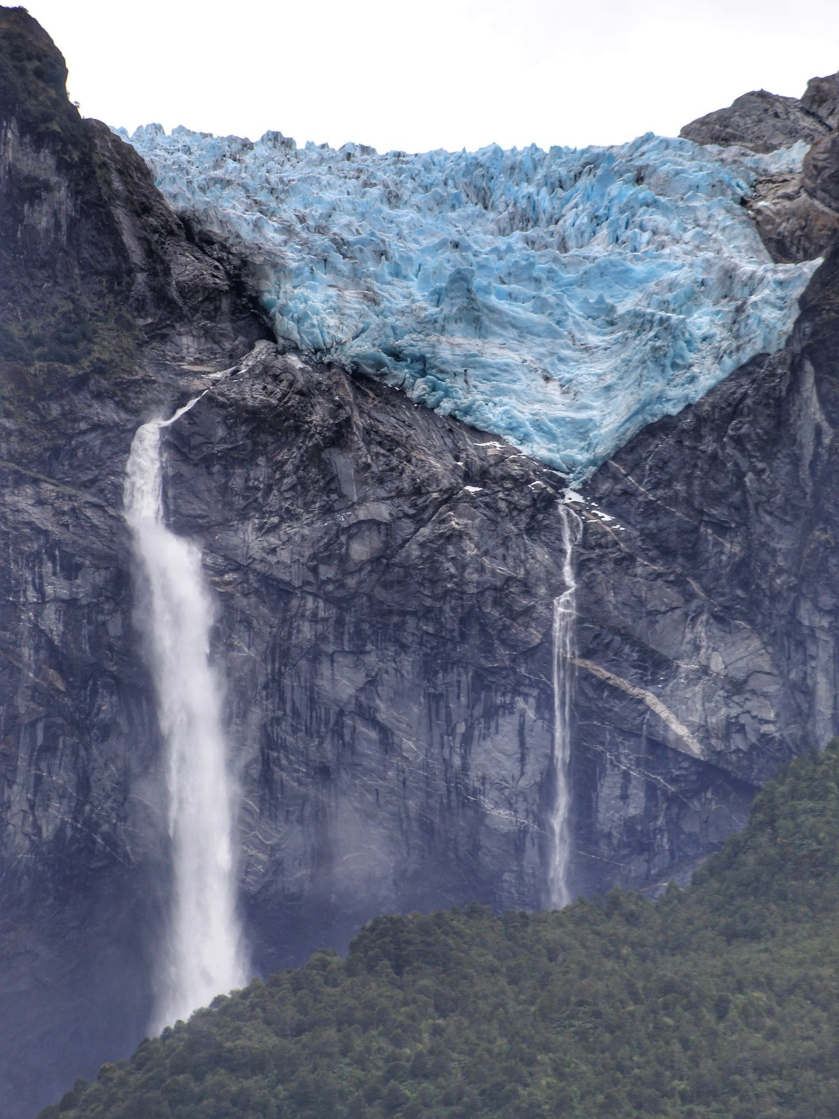 FULL DAY PARQUE NACIONAL QUEULAT