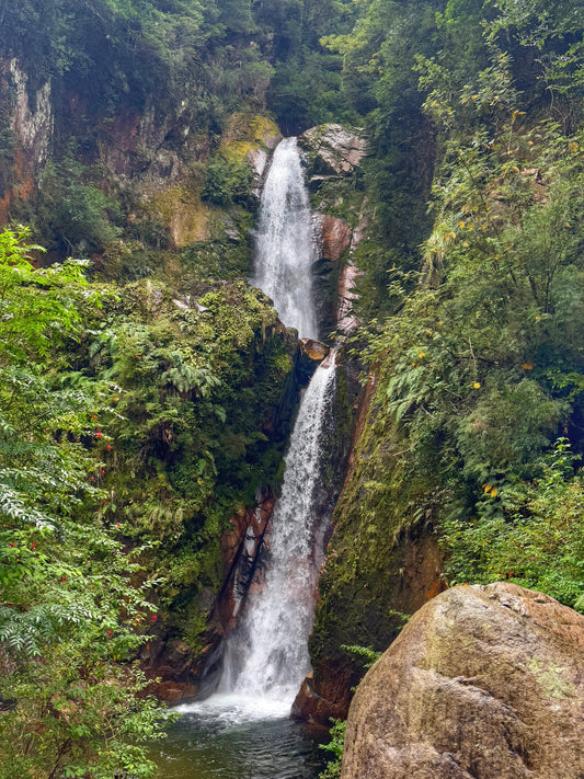 RESERVA NACIONAL RÍO SIMPSON+ CASCADAS