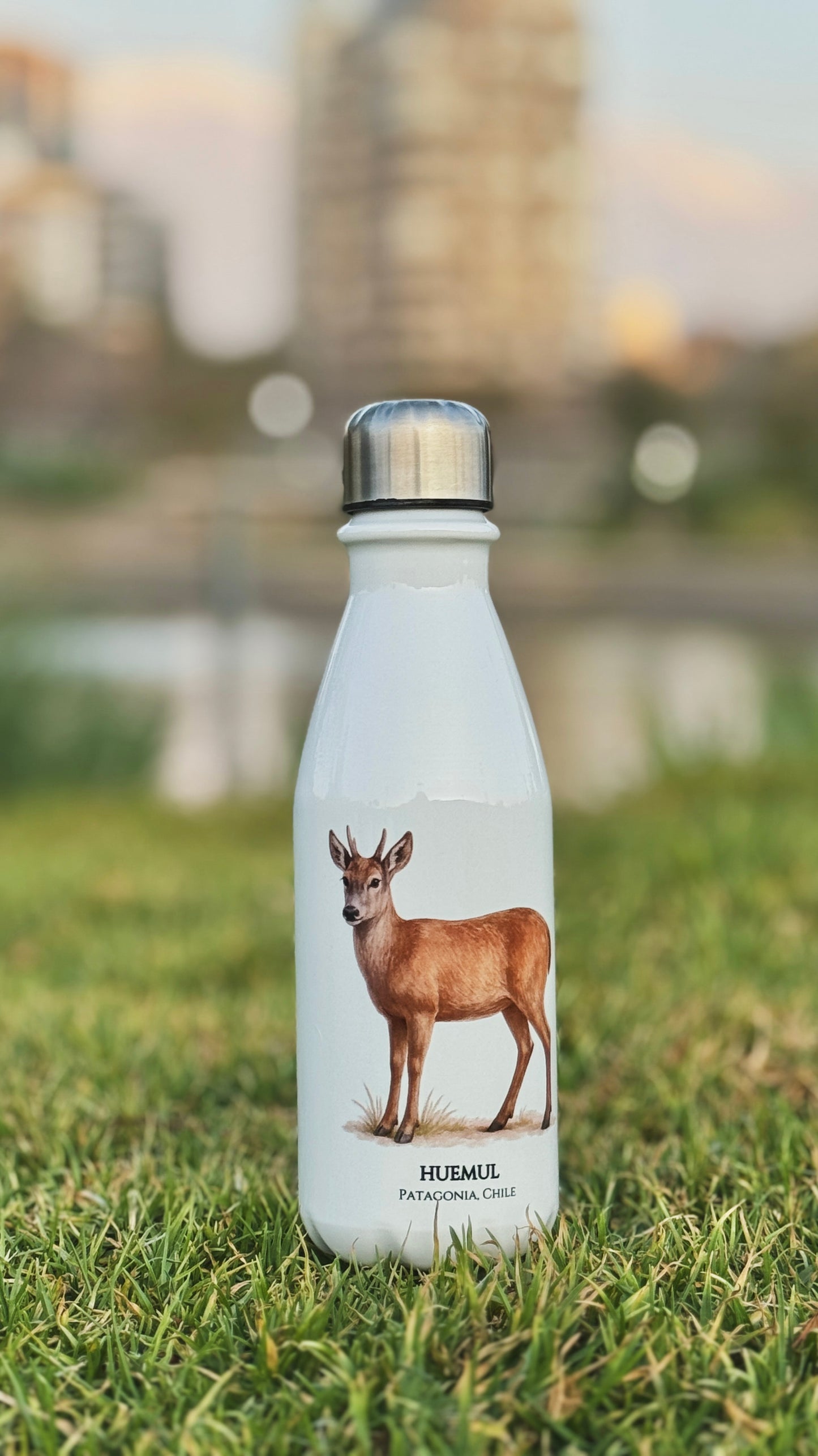 Botella Huemul I